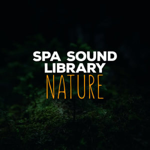 ดาวน์โหลดและฟังเพลง Streams Flowing พร้อมเนื้อเพลงจาก Sleep Sound Library