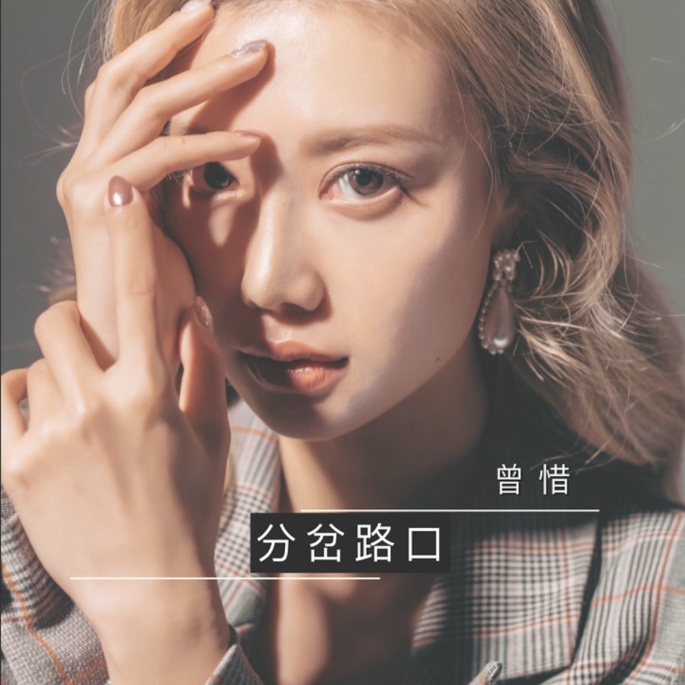 分岔路口 (伴奏)