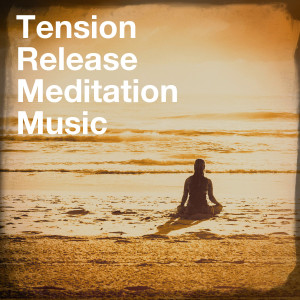 Various Artists的专辑Tension Release Meditation Music