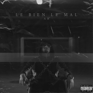 Album Le Bien, Le Mal from AB&PY