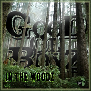 Good Ol' Boyz in the Woodz (Explicit)