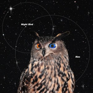 收听Rim的Night bird歌词歌曲