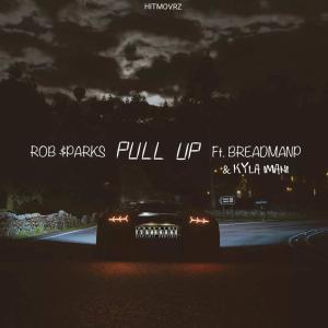 Kyla Imani的专辑Pull Up (feat. Kyla Imani & BreadManp) (Explicit)