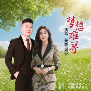 Album 梦想难寻(对唱版) from 