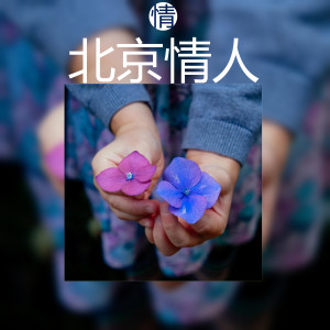 收聽陳少華的北京情人 (伴奏)歌詞歌曲
