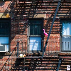 收聽Avant-R的Change of Pace歌詞歌曲