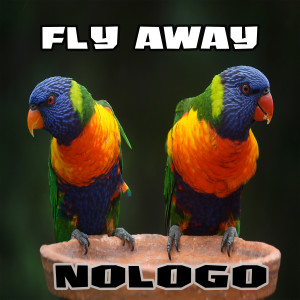 Album Fly Away (Electronic Version) oleh Nologo