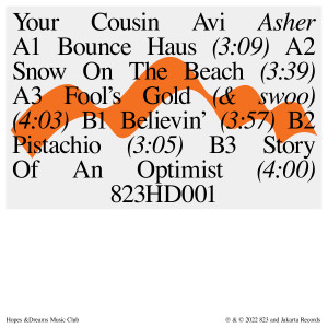 Listen to Story of an Optimist song with lyrics from Your Cousin Avi