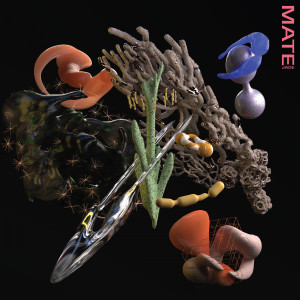 Listen to Mate song with lyrics from Jade.L