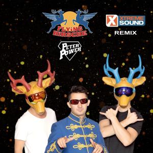 收听Peter Power的Flying Hirsch (Xtreme Sound Remix)歌词歌曲