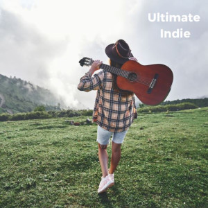Various Artists的專輯Ultimate Indie (Explicit)