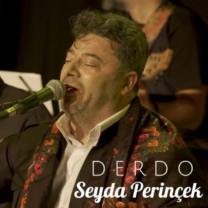Listen to Şehîdên Amara song with lyrics from Seyda Perinçek