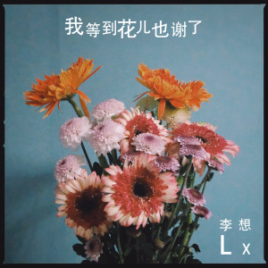 收聽李想LX的我等到花兒也謝了歌詞歌曲