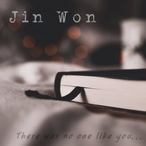 ดาวน์โหลดและฟังเพลง There was no one like you พร้อมเนื้อเพลงจาก Jin Won