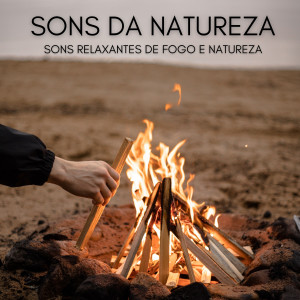 อัลบัม Sons Da Natureza: Sons Relaxantes De Fogo E Natureza ศิลปิน Música Zen Relaxante