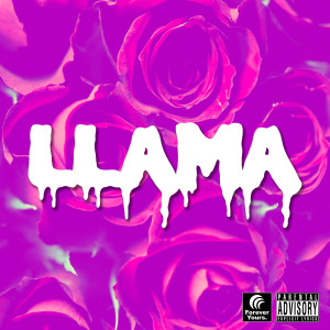 收听Kaeyel的Llama (Explicit)歌词歌曲