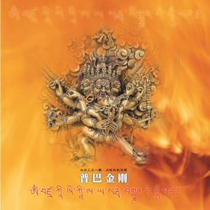 Listen to Vajrakilaya Mantra (Extended Vocal Version) (feat. Zhi Ya) (唱诵加强版) song with lyrics from 王俊雄