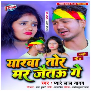 Dengarkan lagu Yarwa Tor Mar Jaitau Ge nyanyian Pyare Lal Yadav dengan lirik