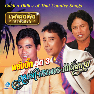 อัลบัม เพลงดังหาฟังยาก - ลูกทุ่งรวมฮิต พลังบิ๊ก ชุด 3 (Golden Oldies of Thai Country Songs.) ศิลปิน ยอดรัก สลักใจ