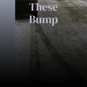 Album These Bump oleh Various