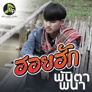 收听พันตา พนา的ฮอยฮัก (Instrumental)歌词歌曲