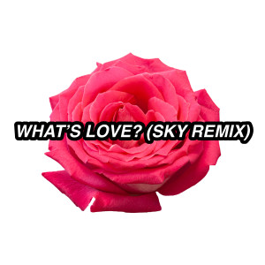 Listen to What's Love? song with lyrics from Sky