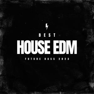Various的专辑Best House EDM and Future Bass 2023