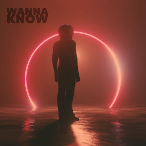 Project 46的專輯Wanna Know