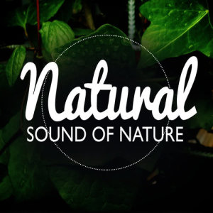 Natural Nature的專輯Natural Sound of Nature