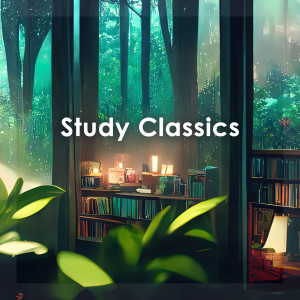 อัลบัม Beethoven - Study Classics ศิลปิน Ludwig van Beethoven