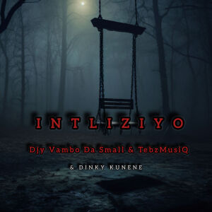 Listen to Intliziyo song with lyrics from Djy Vambo Da Small