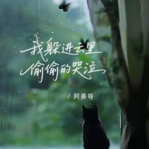Listen to 我躲进云里偷偷的哭泣 (伴奏) song with lyrics from 阿美呀