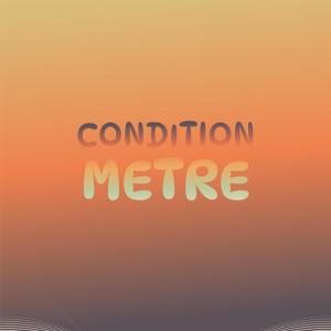 Various Artists的專輯Condition Metre