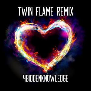 4biddenKnowledge的專輯Twin Flame (Remix)