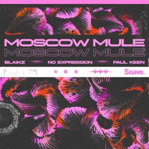 ดาวน์โหลดและฟังเพลง Moscow Mule พร้อมเนื้อเพลงจาก Blaikz