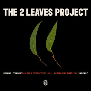 Listen to Head out in the Mystery (Yung Skrrt Remix) song with lyrics from Nicholas Littlemore's The Two Leaves Project