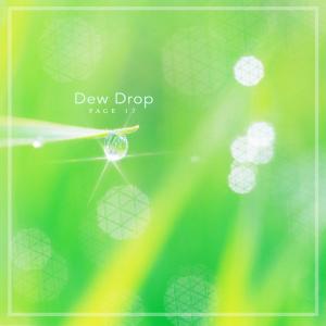 Page 17的专辑Dew drop