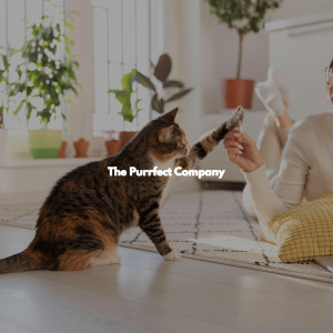 Music for Cooking Playlist的專輯The Purrfect Company