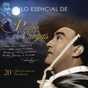 ดาวน์โหลดและฟังเพลง Camino de Guanajuato (En Vivo) พร้อมเนื้อเพลงจาก Pedro Vargas