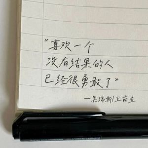 Album 喜欢一个没有结果的人已经很勇敢了 from 吴瑞斯