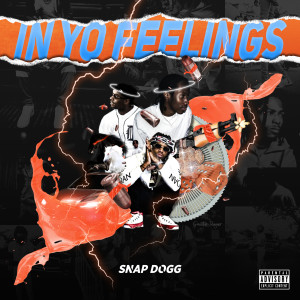 ดาวน์โหลดและฟังเพลง Lions and Falcons (Explicit) พร้อมเนื้อเพลงจาก Snap Dogg