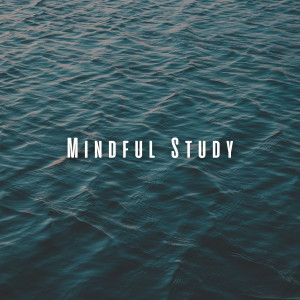 Album Mindful Study: Ocean Sounds and Chill Music for Learning from Seascapers