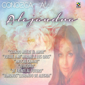 ดาวน์โหลดและฟังเพลง Llorando de Alegría พร้อมเนื้อเพลงจาก Alejandra