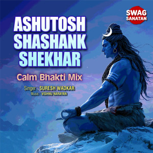 Vishnu Narayan的專輯Ashutosh Shashank Shekhar - Calm Bhakti Mix