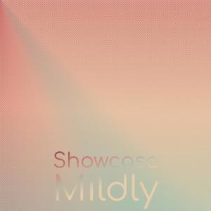 Various的专辑Showcase Mildly