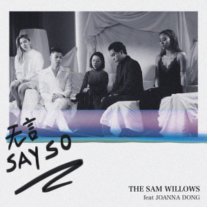 收聽THE SAM WILLOWS的無言 (國語版) (國語版)歌詞歌曲