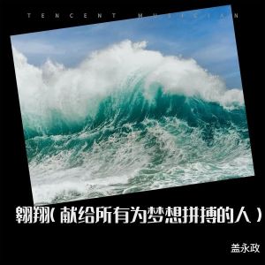 Listen to 翱翔 (完整版) song with lyrics from 盖永政