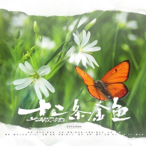 Listen to 十二条金鱼-巫哲作品群像曲 (完整版) song with lyrics from 楚甘来