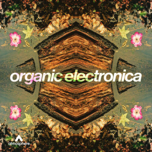Album Organic Electronica from Rainman