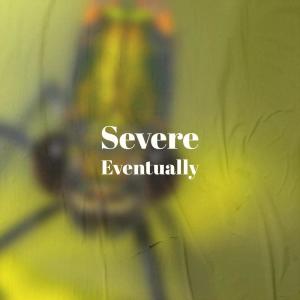 Various Artists的專輯Severe Eventually
